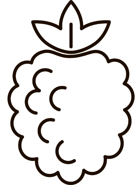 Raspberry coloring page image