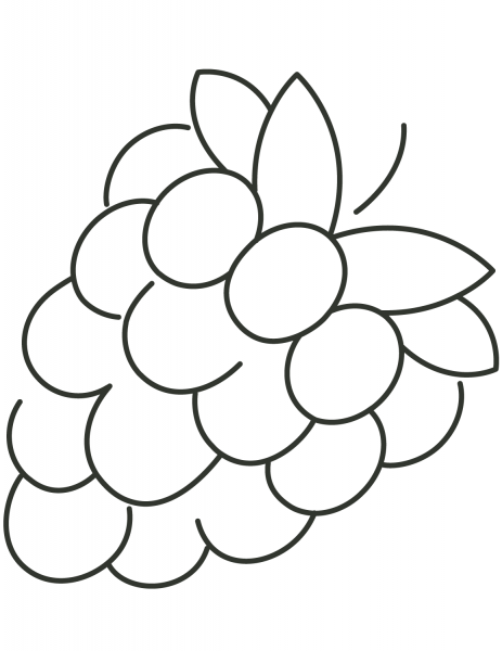 Raspberry coloring page image