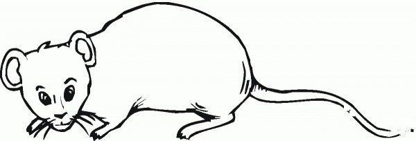 Rat 13 coloring page image
