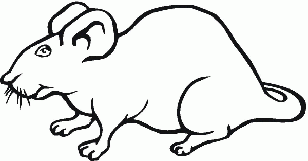Rat 25 coloring page image