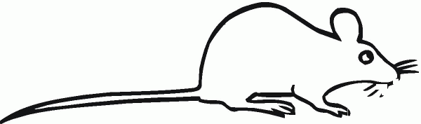 Rat 8 coloring page image