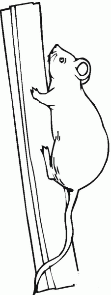 Rat Climbs A Wood coloring page image