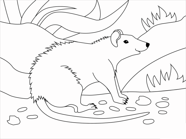 Rat coloring page image
