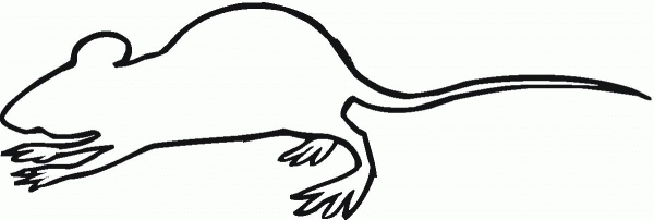 Rat Outline coloring page image