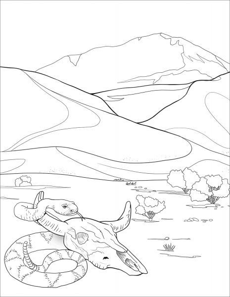 Rattlesnake coloring page image