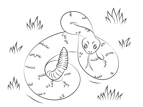 Rattlesnake coloring page image