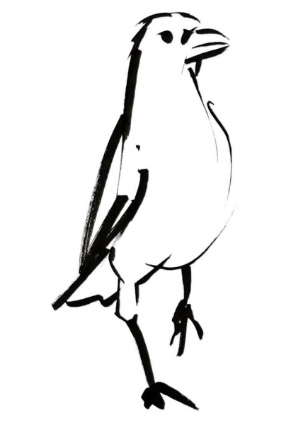 Raven coloring page image