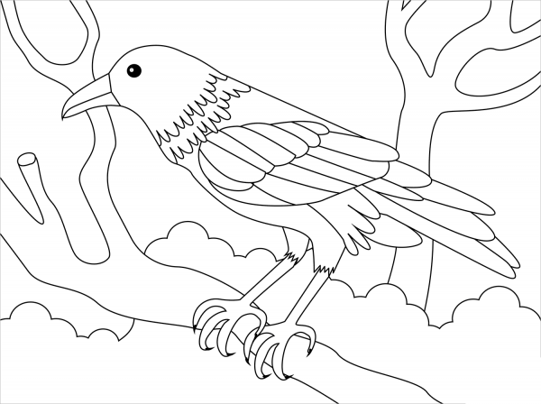 Raven coloring page image