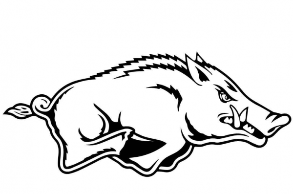 Razorback coloring page image