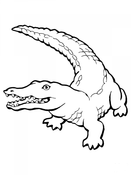 Realistic Crocodile coloring page image