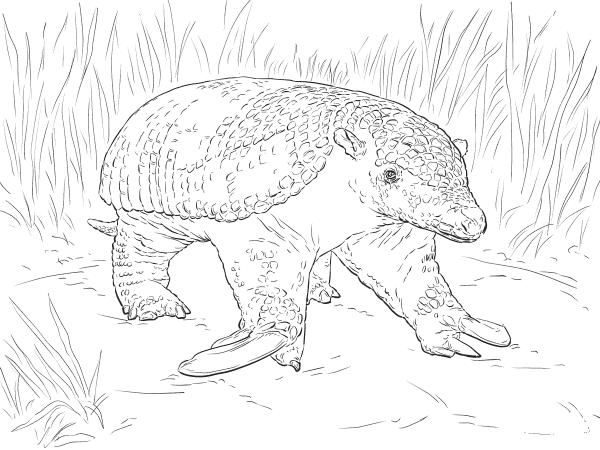 Realistic Giant Armadillo coloring page image