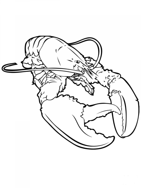 Realistic Lobster coloring page image
