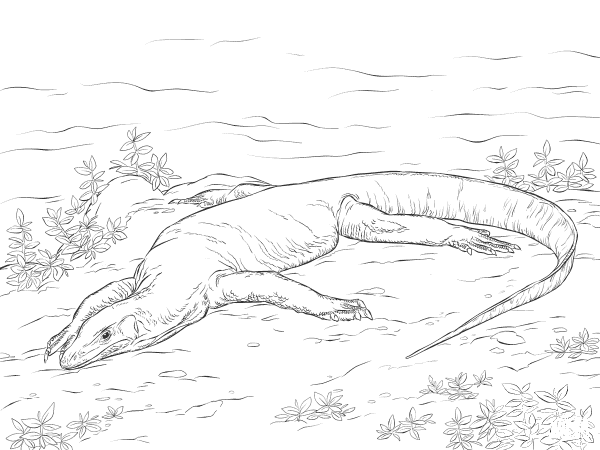 Realistic Monitor Lizard coloring page image