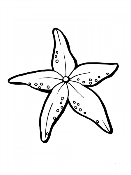 Realistic Starfish coloring page image