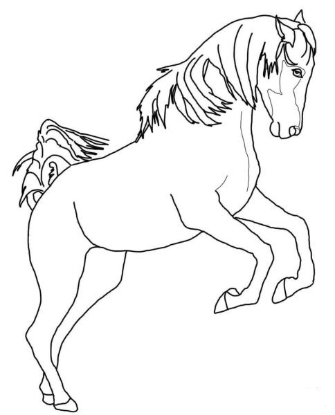Rearing Arabian Horse coloring page image