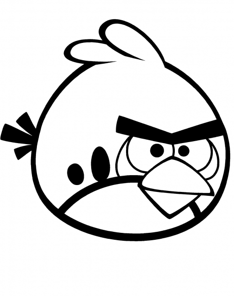Red Bird coloring page image