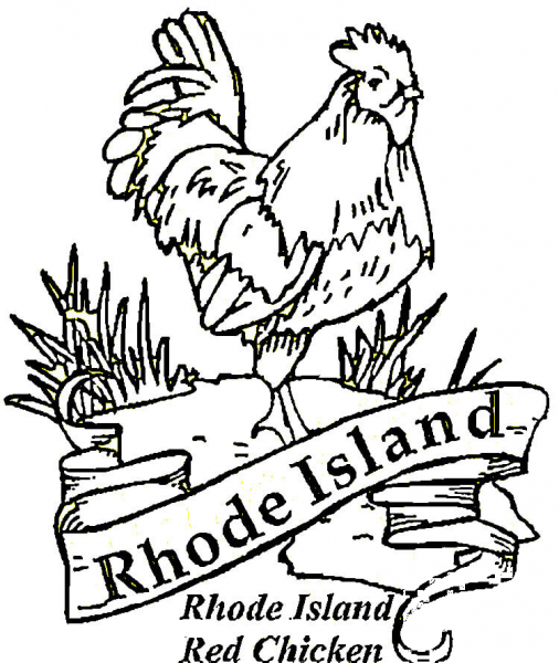 Red Chicken Of Rhode Island coloring page image