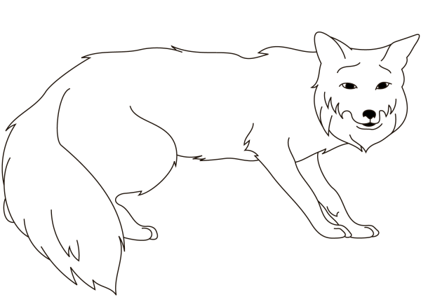 Red Fox coloring page image