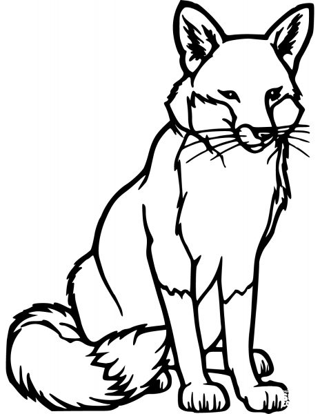 Red Fox coloring page image