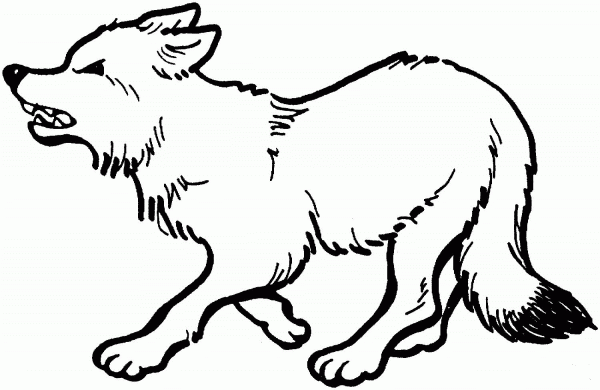 Red Fox Growl coloring page image