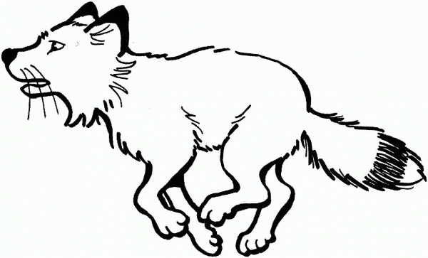 Red Fox Run coloring page image
