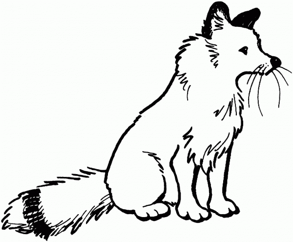 Red Fox Sit coloring page image
