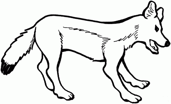 Red Fox Vixen coloring page image