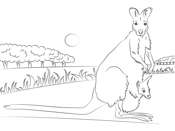 Red Necked Wallaby with Baby coloring page image