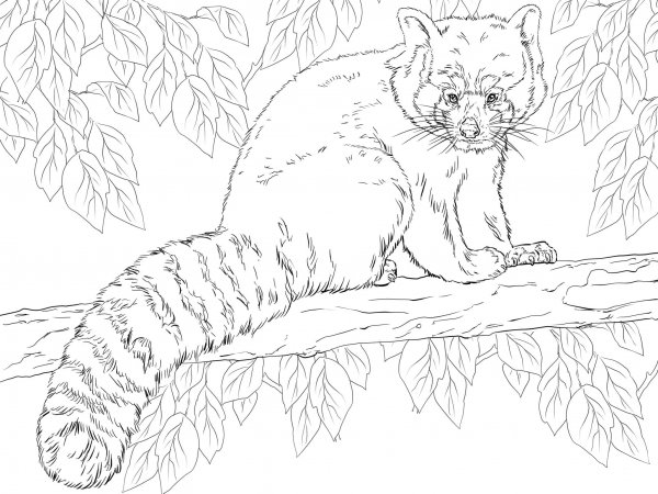 Red Panda Sitting on Branch coloring page image