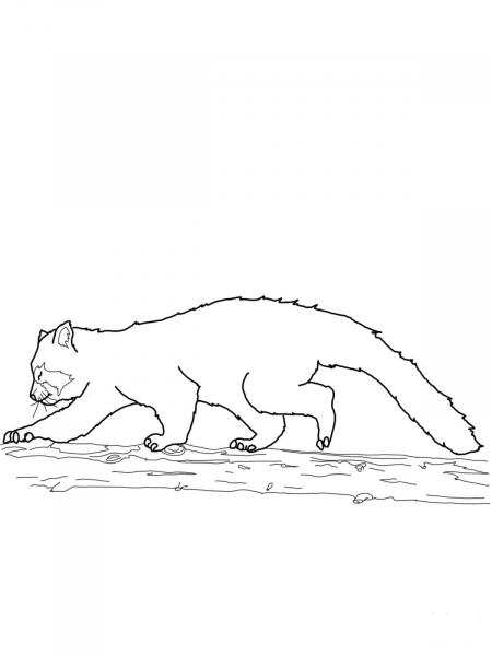 Red Panda Walking coloring page image