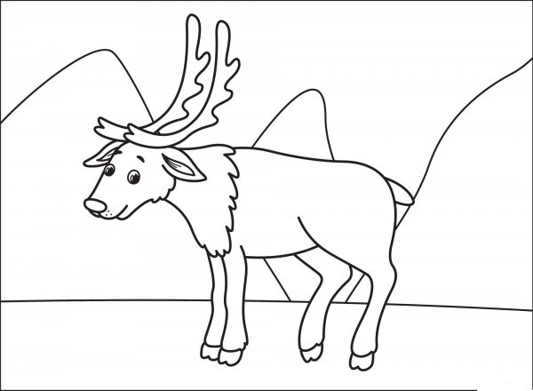 Reindeer coloring page image