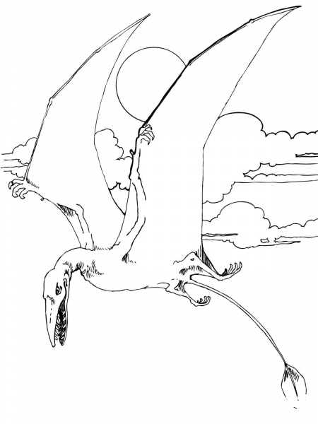 Rhamphorhynchus Jurassic Pterosaurs coloring page image