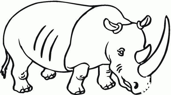 Rhino with Big Horn coloring page image