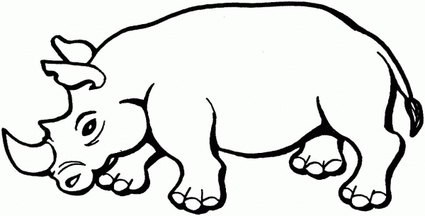 Rhinoceros coloring page image