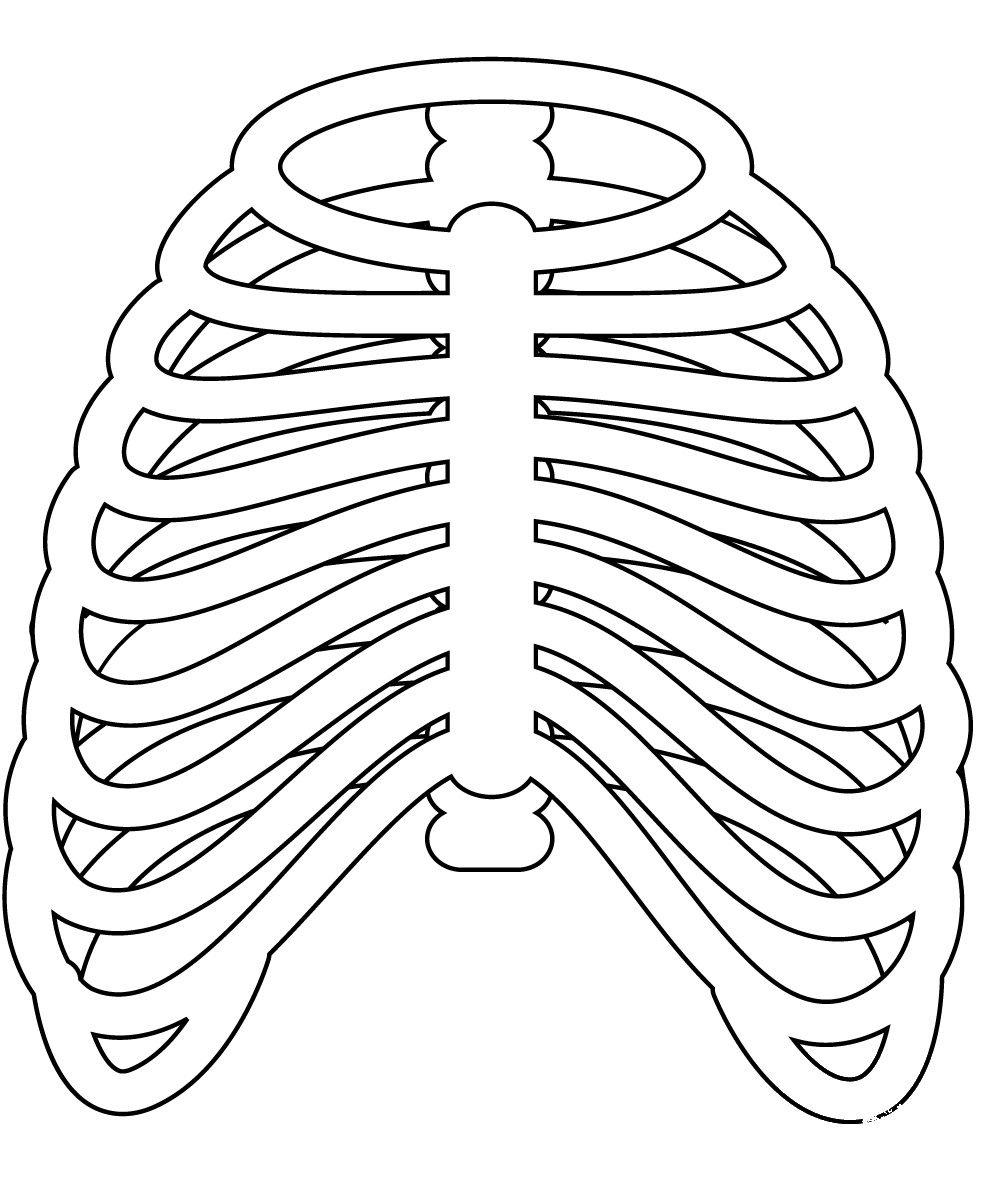 Rib Cage coloring page - ColouringPages