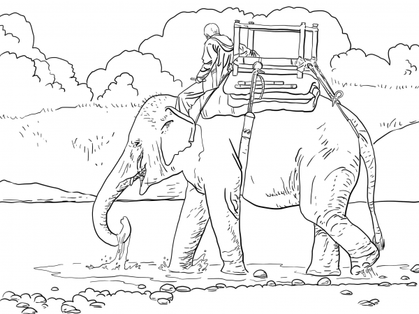 Riding Indian Elephant coloring page image