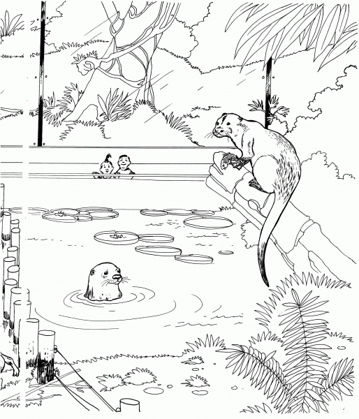 River Otter in a Zoo coloring page image