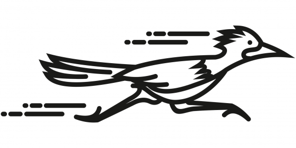 Roadrunner coloring page image