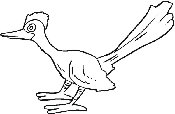 Roadrunner  coloring page image