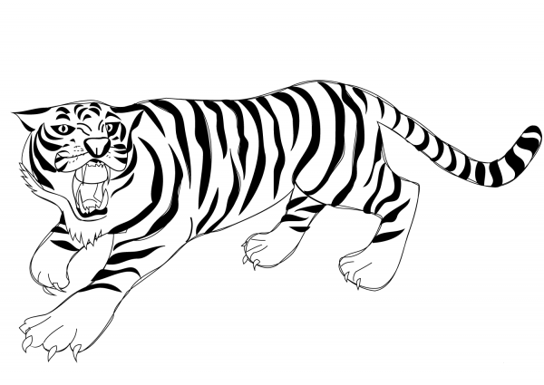Roaring Tiger coloring page image
