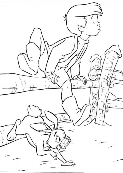 Robin And Rabbit  coloring page image