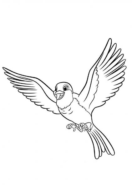 Robin from Sofia the First coloring page image
