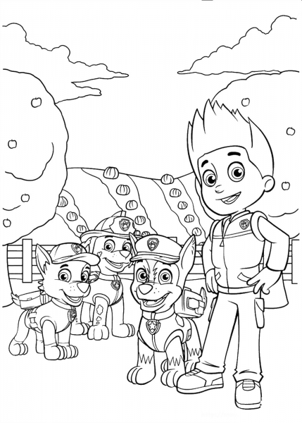 Rocky, Marshall, Chase and Ryder coloring page image