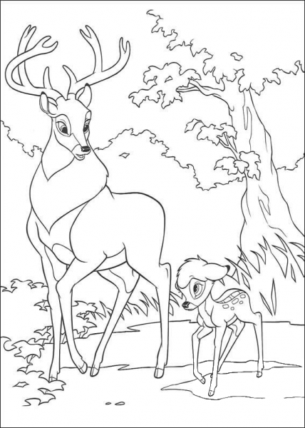 Roe And Bambi Are Walking Together coloring page image