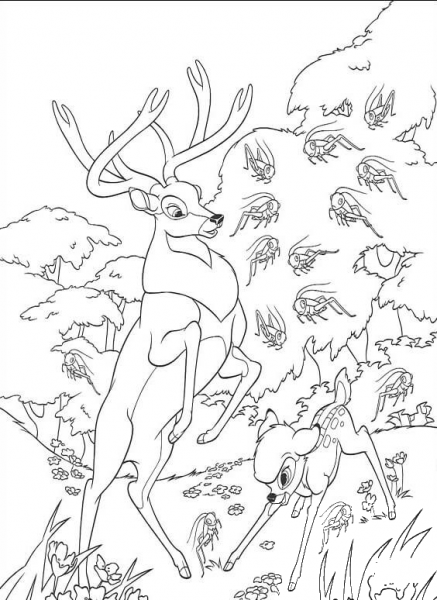 Roe And Bambi In The Forest  coloring page image