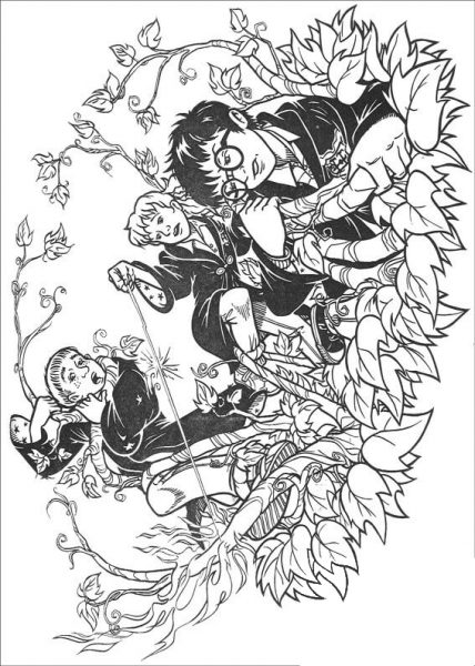 Ron Weasley, Hermione Granger and Harry Potter  coloring page image
