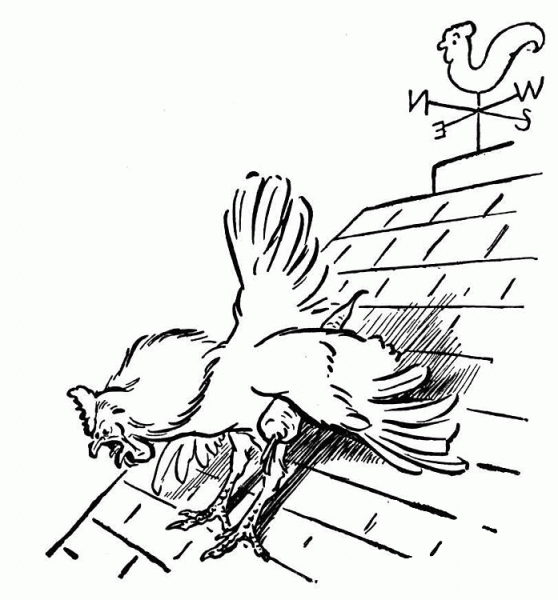 Rooster and Wind Rooster  coloring page image