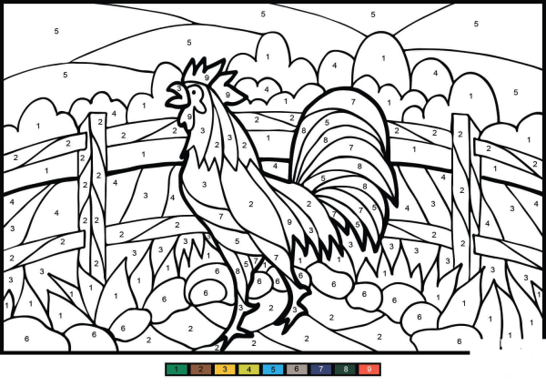 Rooster Color by Number image