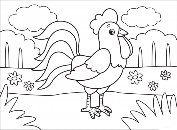 Rooster coloring page image