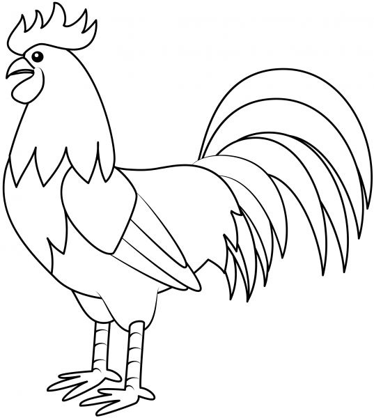 Rooster coloring page image